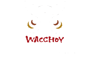 株式会社わっちょい