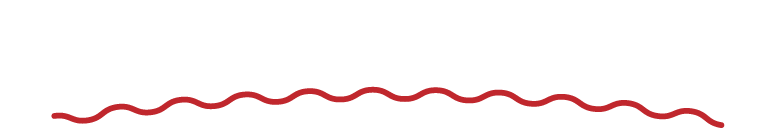 わっちょいで働きませんか？